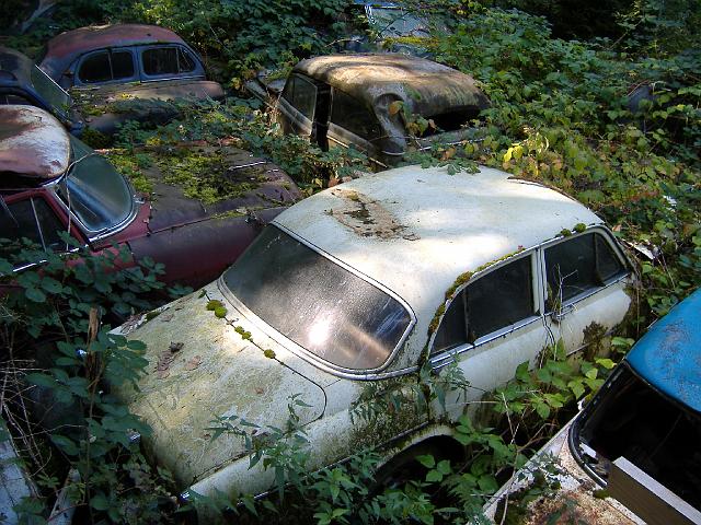 Autofriedhof - 013.JPG - Historischer Autofriedhof,    Gürbetal (CH)